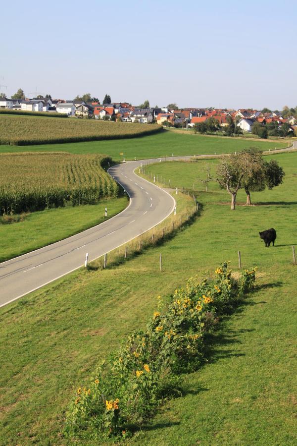 Апартаменты Traubshof Ochsenhausen Экстерьер фото